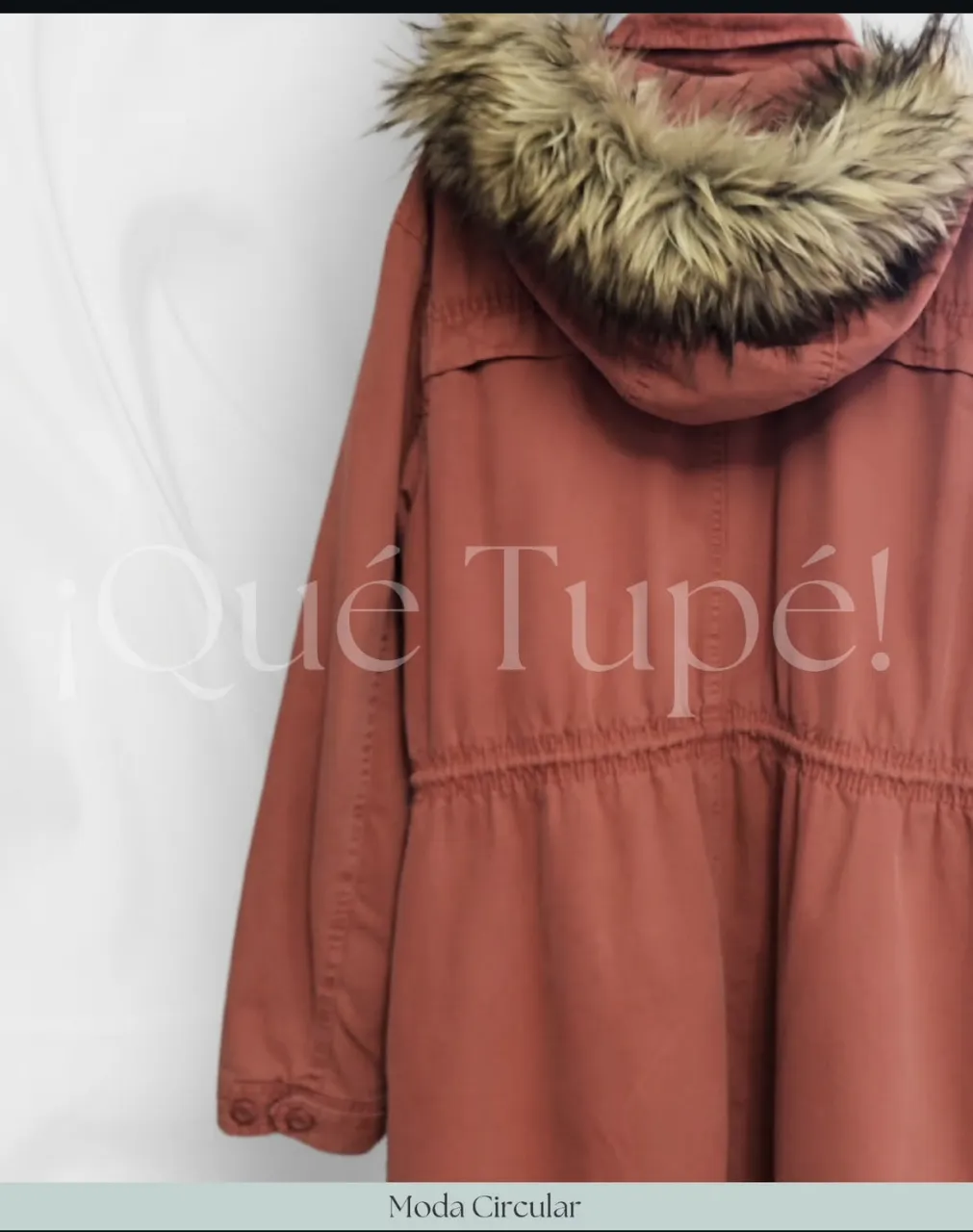 Campera American Eagle - Vista 2