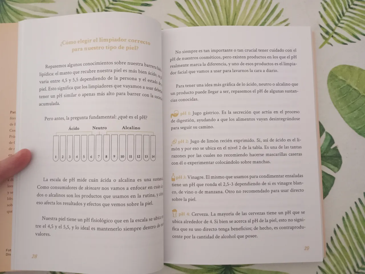 Lencería Sin marca - Vista 3