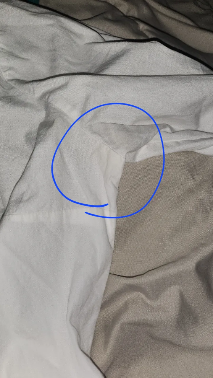 Camisa Kevingston - Vista 4