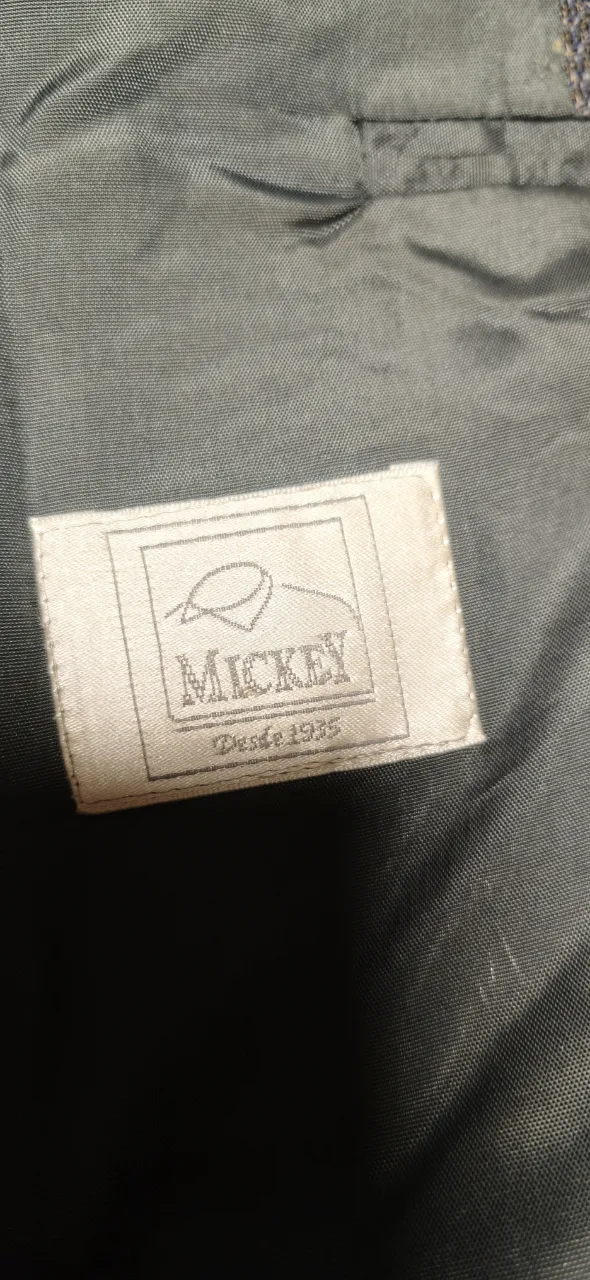 Blazer Mickey - Vista 4