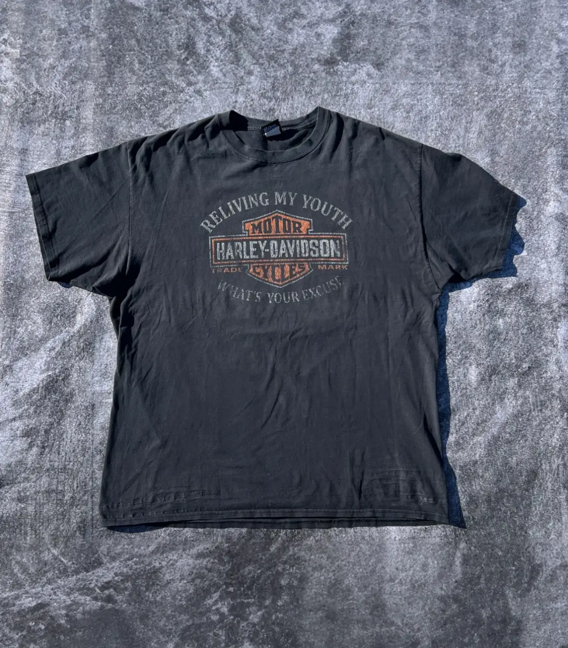 Remera Harley Davidson - Vista 2
