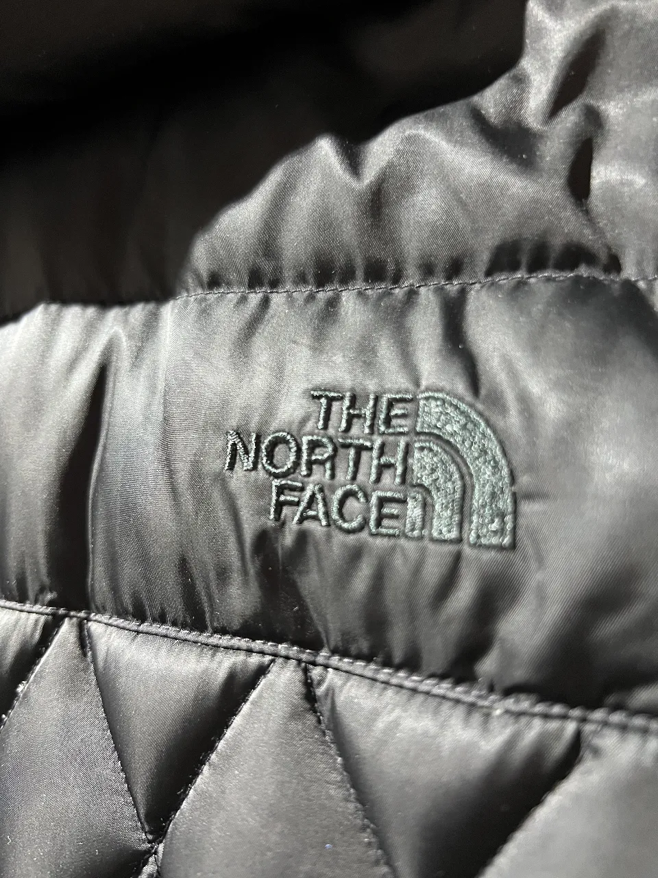 Campera The North Face - Vista 4