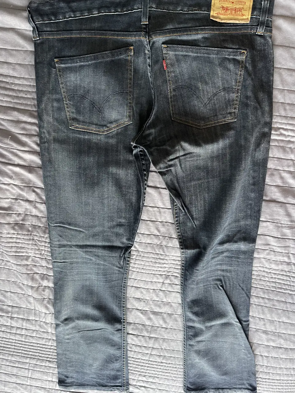 Jean Levi Strauss & Co. - Vista 3
