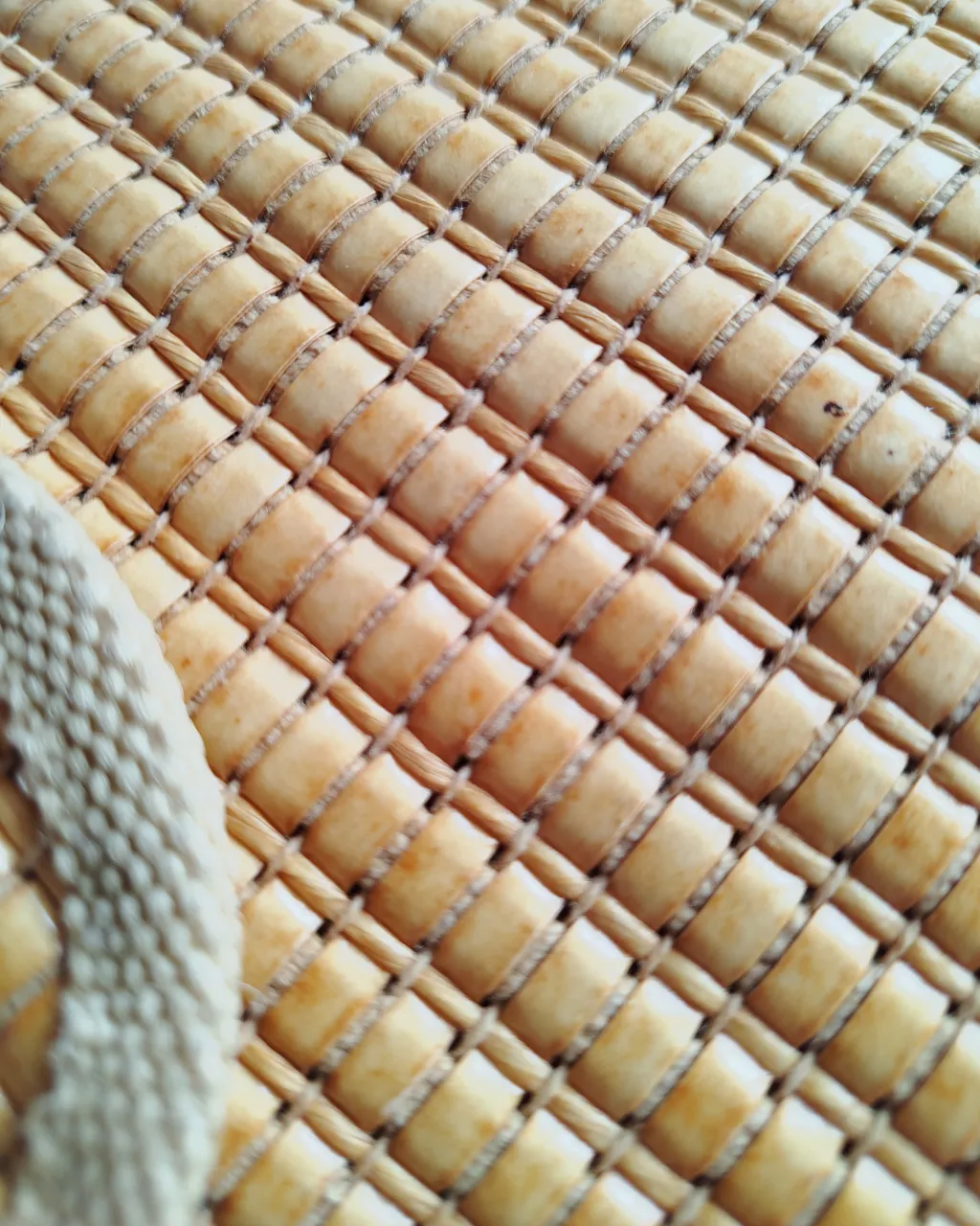 Vintage Boutique - Vista 4