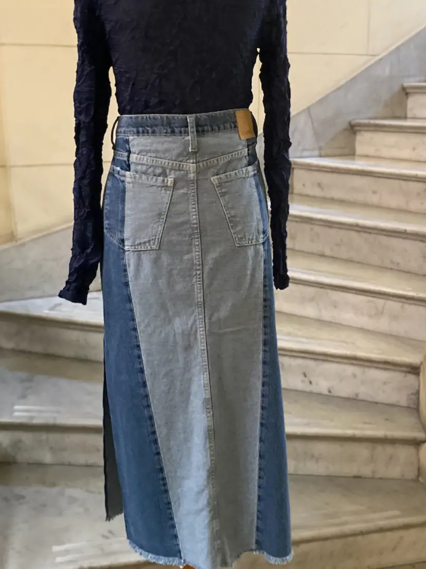 Pollera Rapsodia - Vista 3