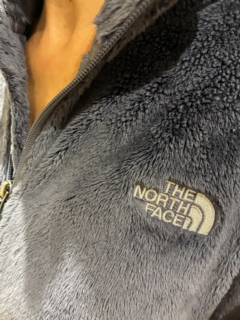 Buzo The North Face - Vista 2