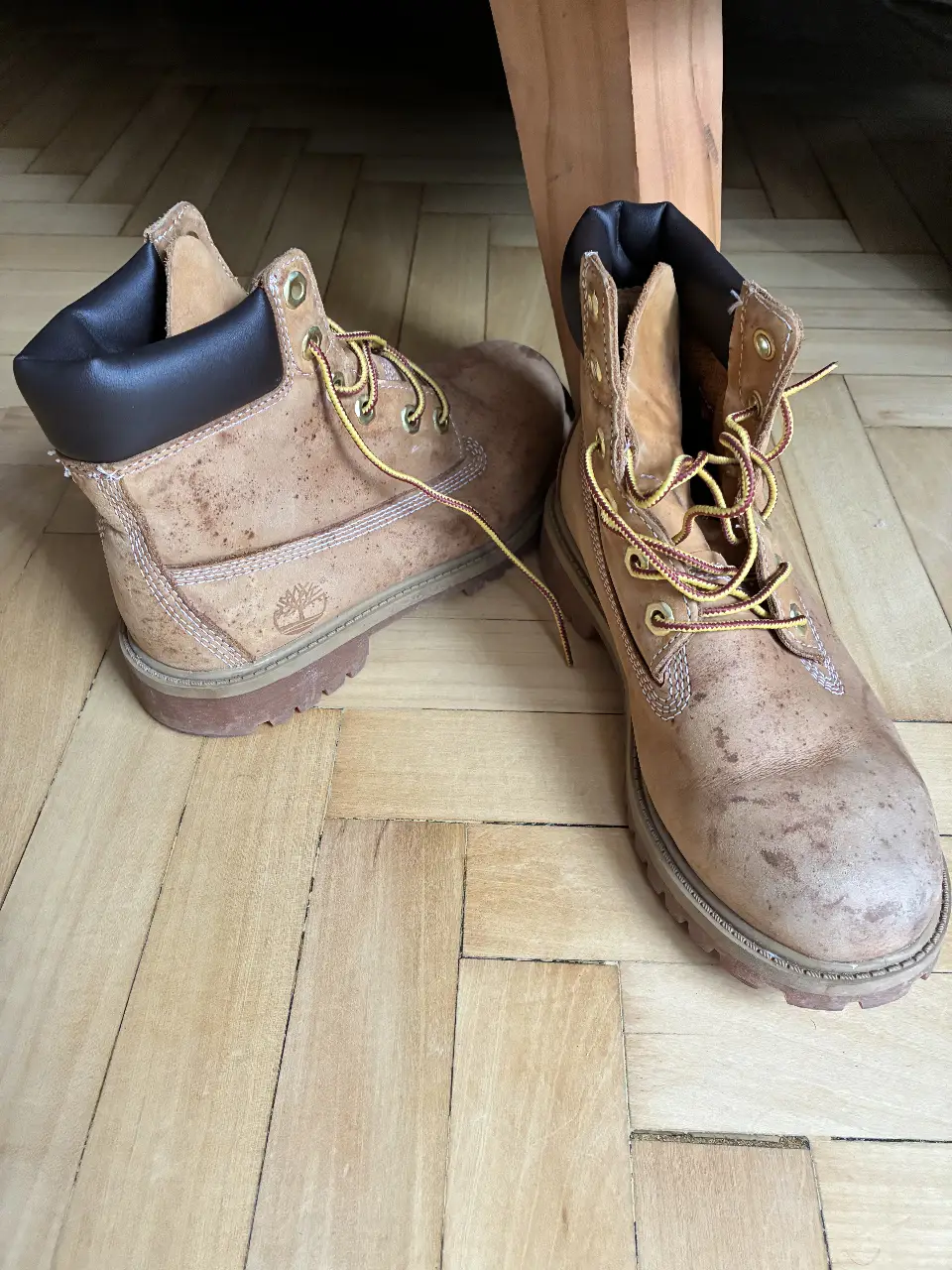 Borcegos Timberland de cuero color marrón claro, con cordones amarillos y suela resistente. Ideales para un look casual y urbano.
