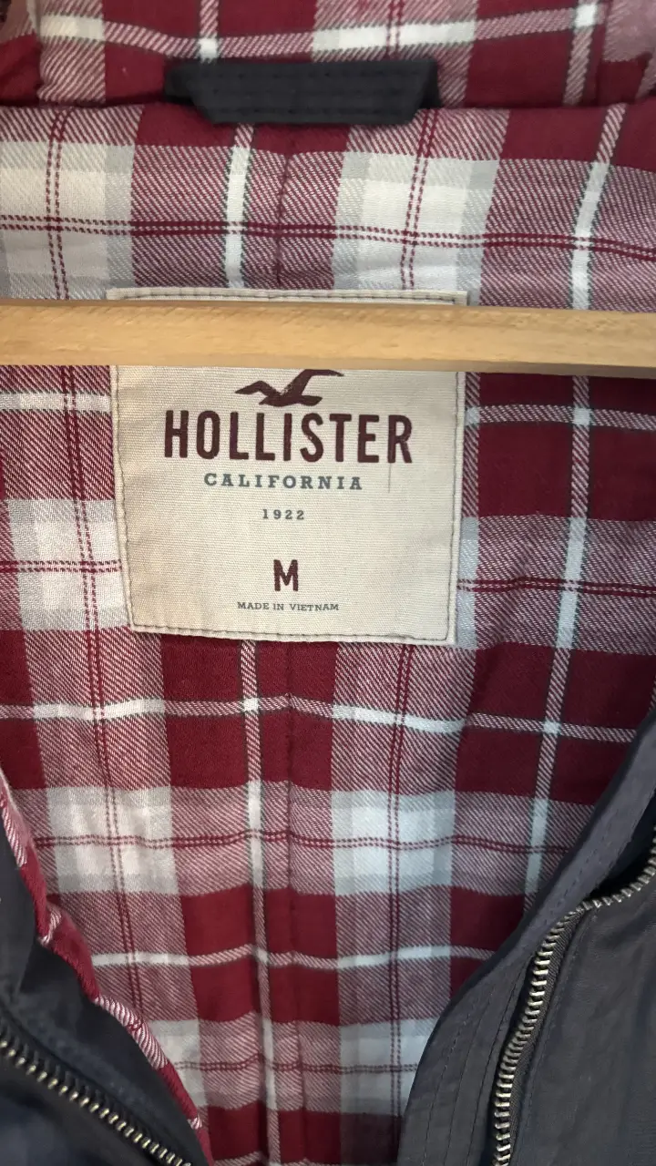 Campera Hollister - Vista 3