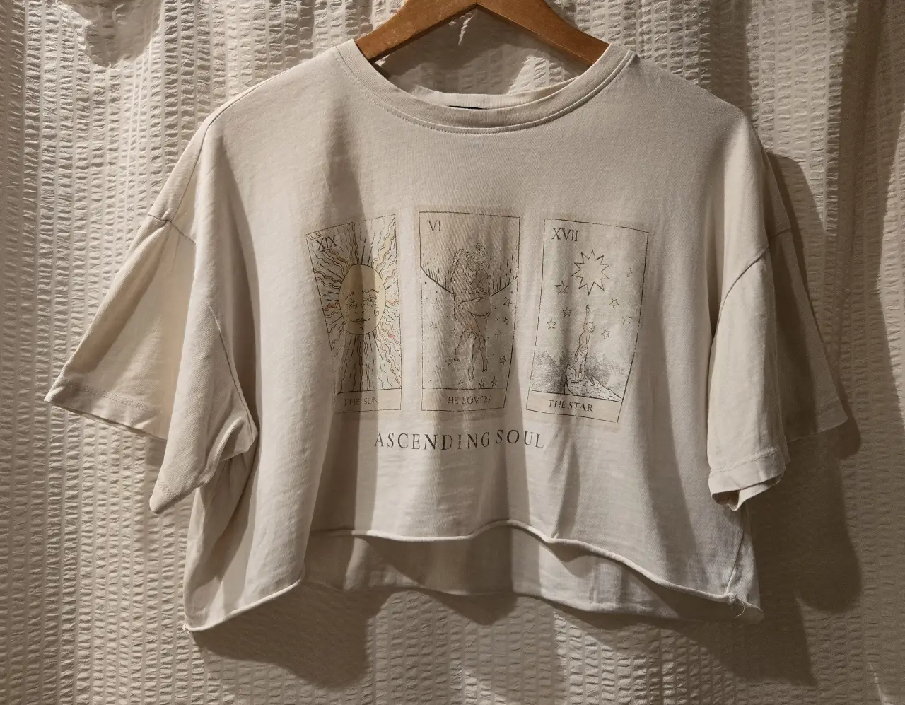 Remera crop de algodón color gris claro con estampado. Corte holgado. Manga corta. Talle S, puede ser M. Tiene un agujero pequeño en el cuello en la parte de la espalda