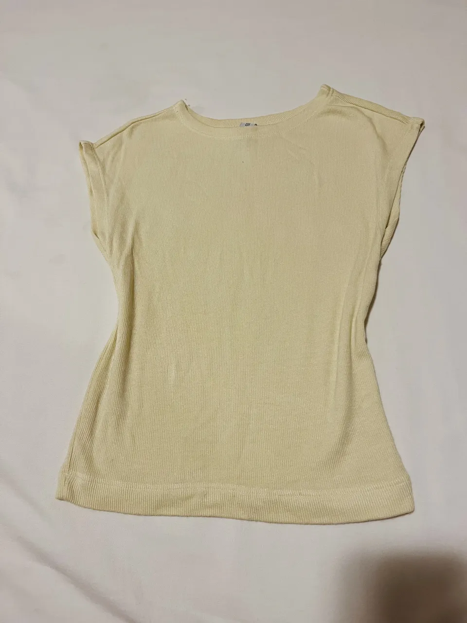 Musculosa Renner