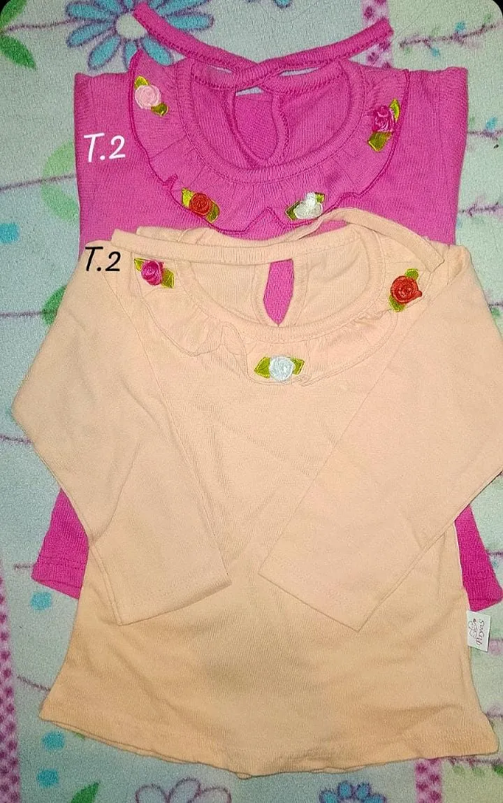 Conjunto de dos remeras manga larga para niña. Una remera es de color rosa fuerte con cuello volado y detalles de flores bordadas. La otra remera es de color salmón pálido, también con cuello y detalles de flores bordadas.
Se vende por unidad o juntas 