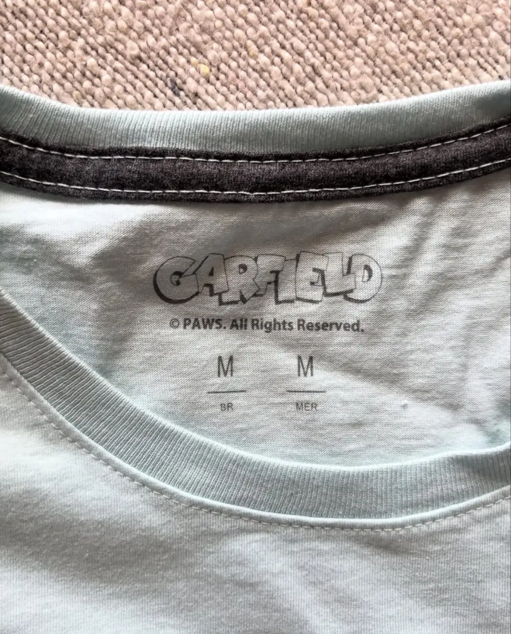 Remera Garfield - Vista 2