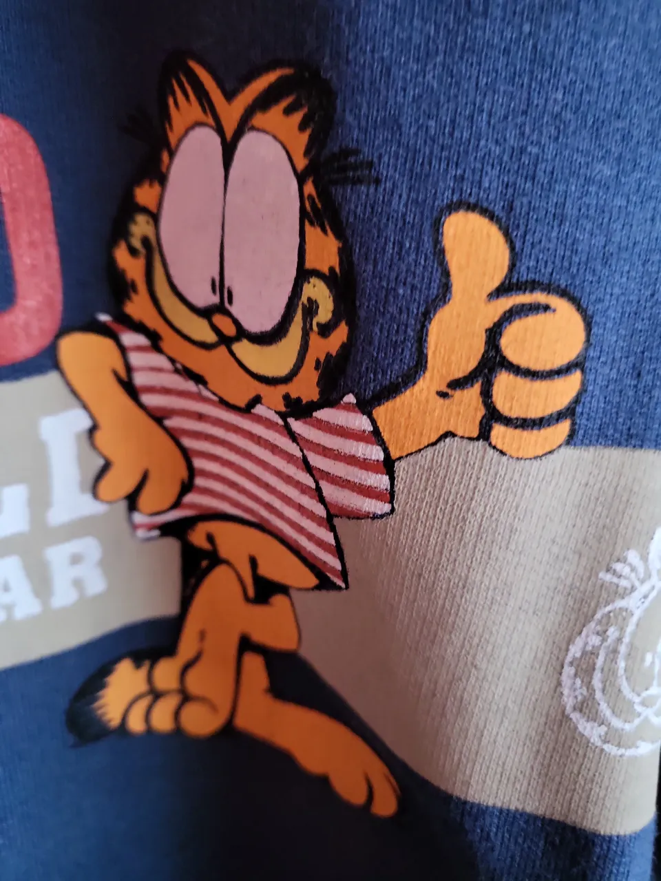 Buzo Garfield - Vista 3