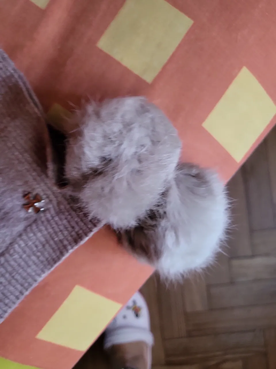 Poncho Otra - Vista 4