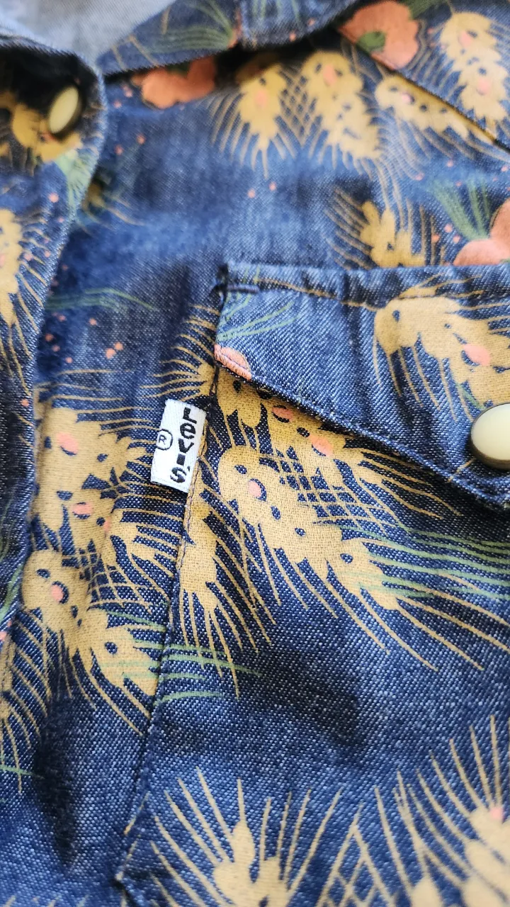 Camisa Levi's - Vista 2