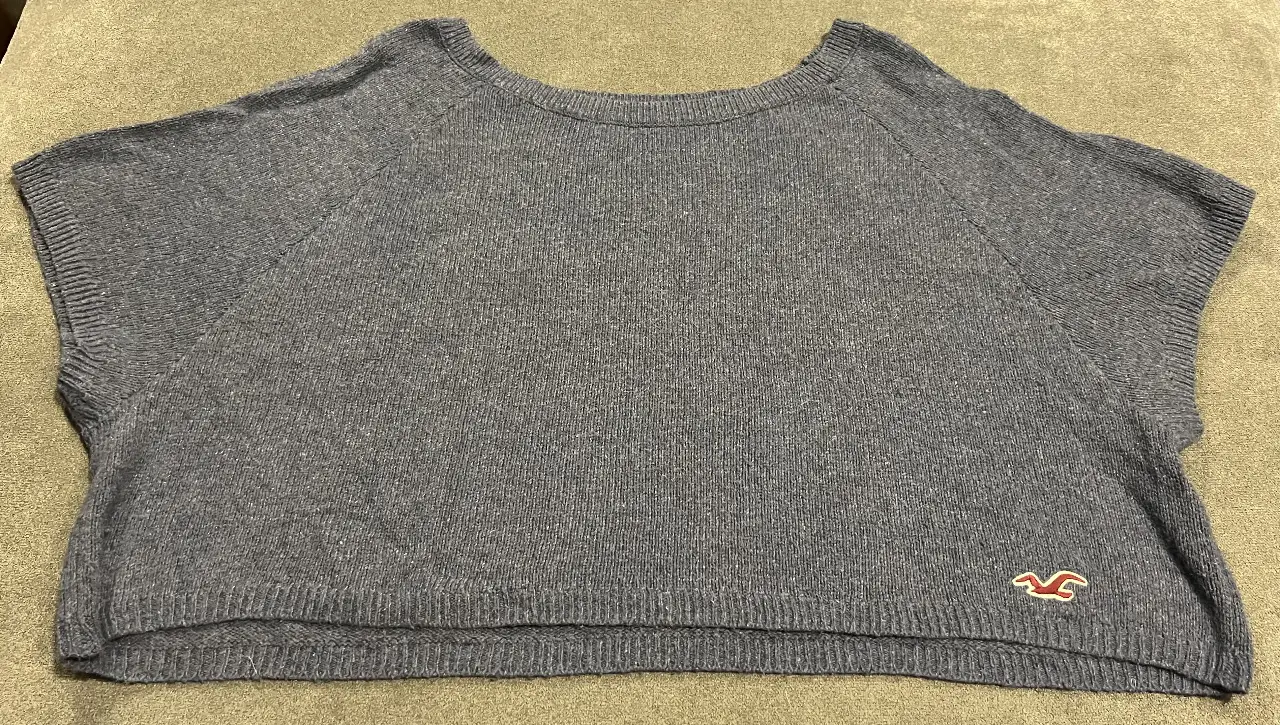Remera/sweatercito manga corta de mujer, color lila, con el logo de la marca Hollister. Ideal para un look casual y cómodo. color lila