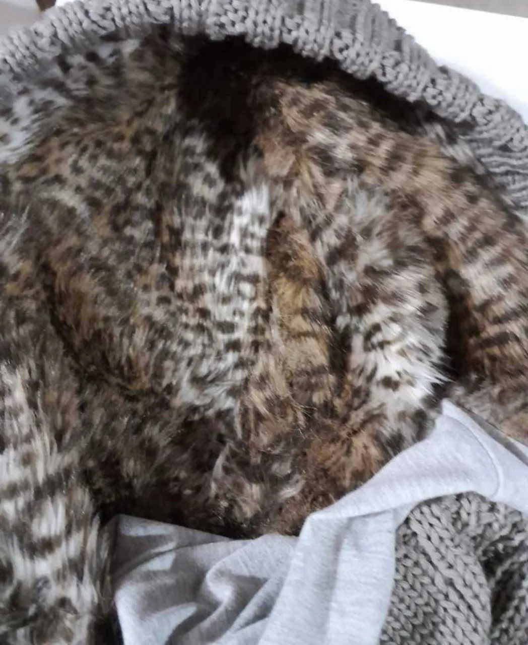 Campera Nacional - Vista 3