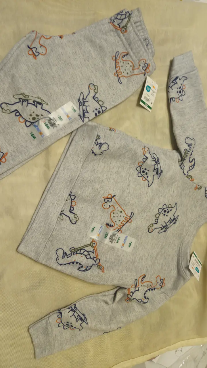 Conjunto de buzo y pantalón de niño, color gris con estampado de dinosaurios. El buzo es de cuello redondo y manga larga, y el pantalón tiene cintura elástica. Ideal para un look casual y cómodo.