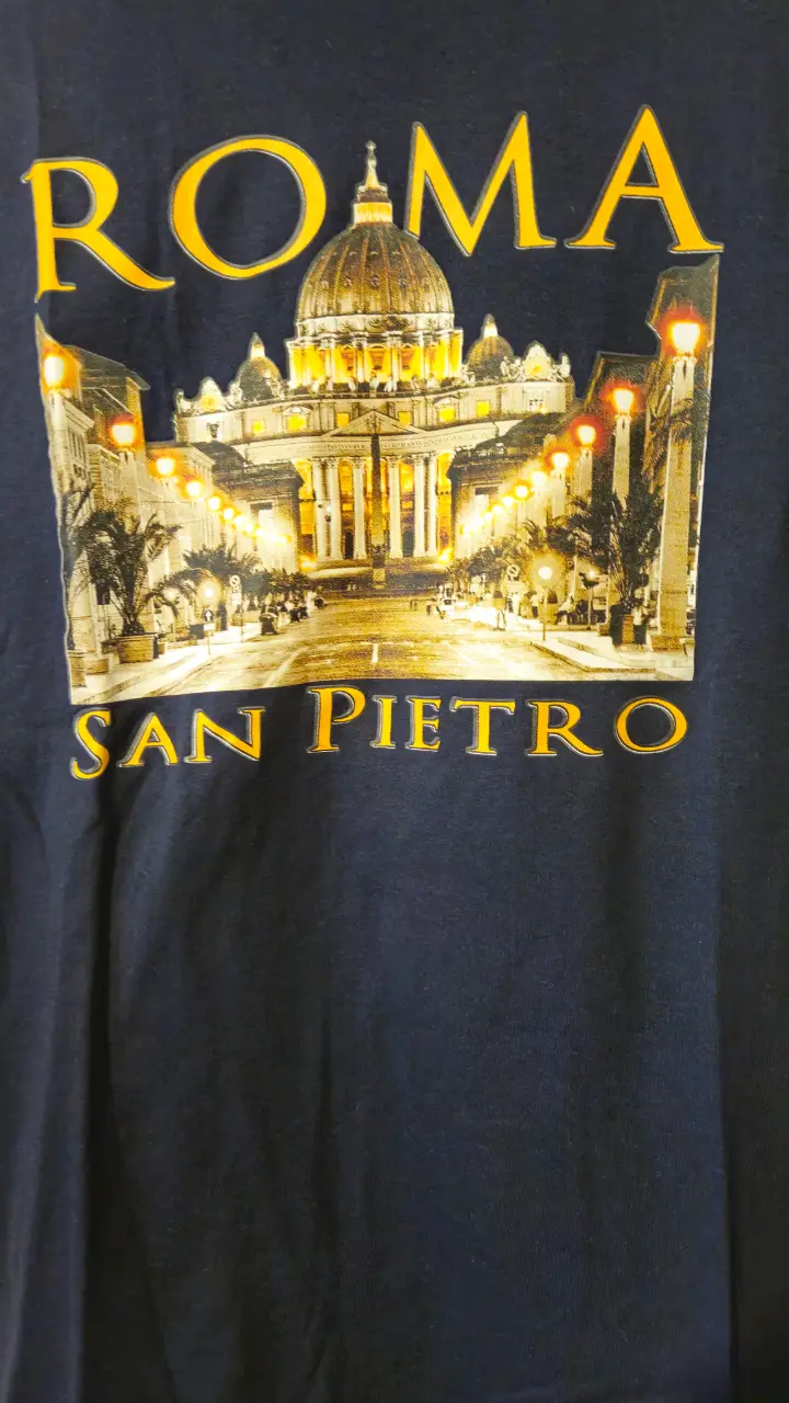 Remera The big apple - Vista 5