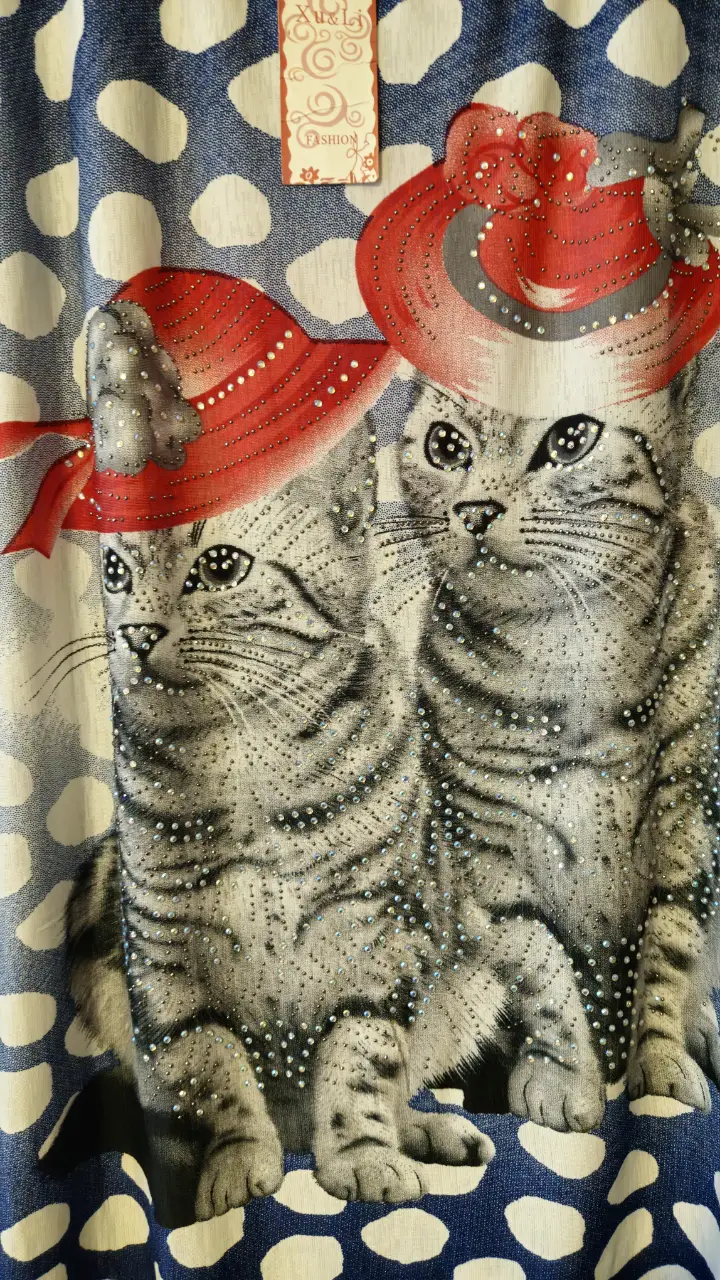 Blusa Xu li - Vista 2