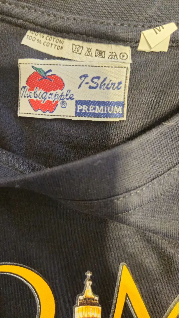 Remera The big apple - Vista 4
