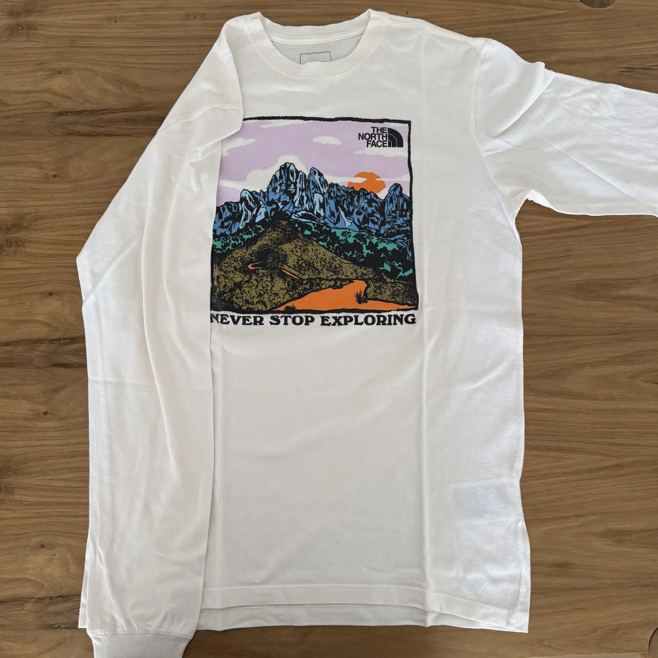 Remera NORTH FACE blanca de manga larga con estampa de paisaje montañoso y el texto "NEVER STOP EXPLORING".