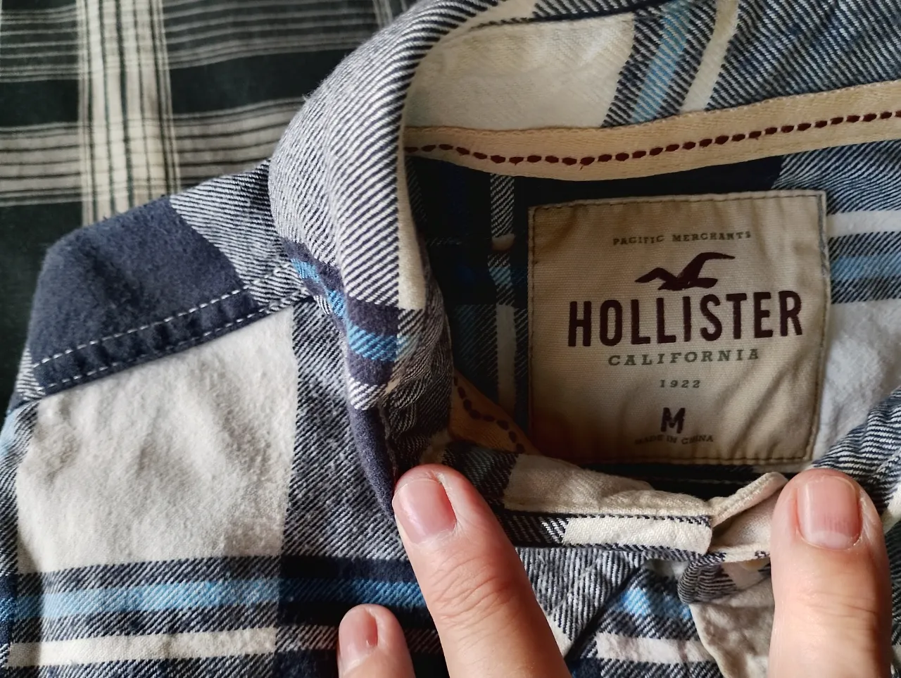Camisa Hollister - Vista 3