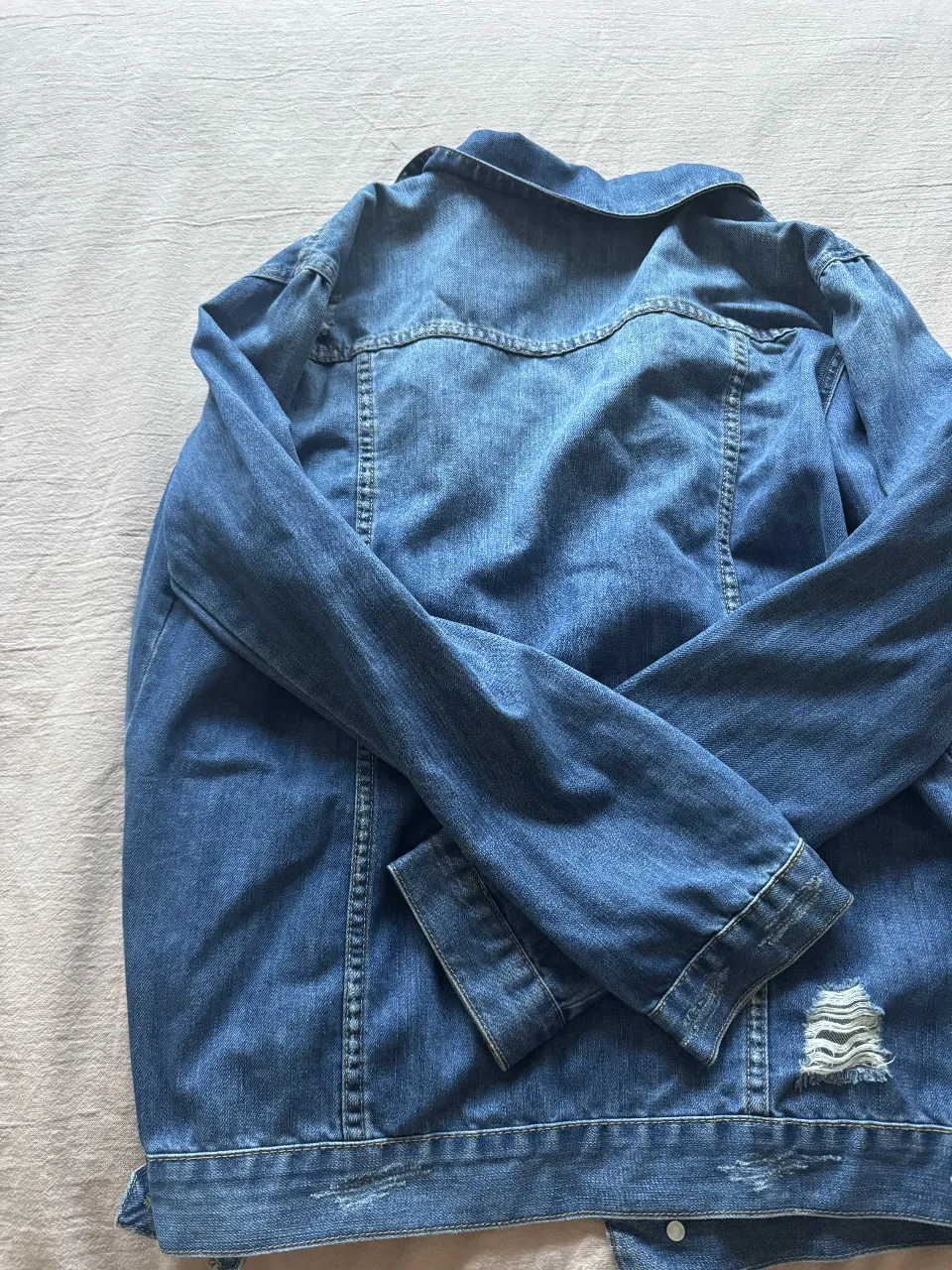Campera Falabella - Vista 3
