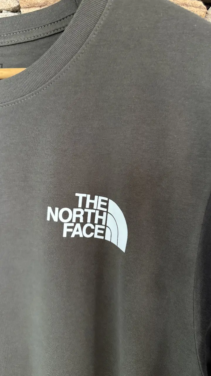 Remera The North Face - Vista 2