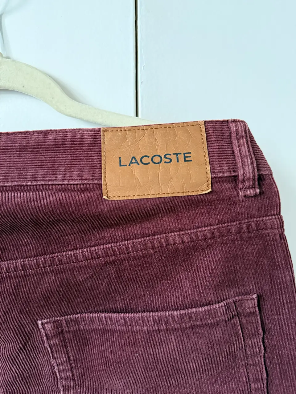 Pantalón Lacoste - Vista 4
