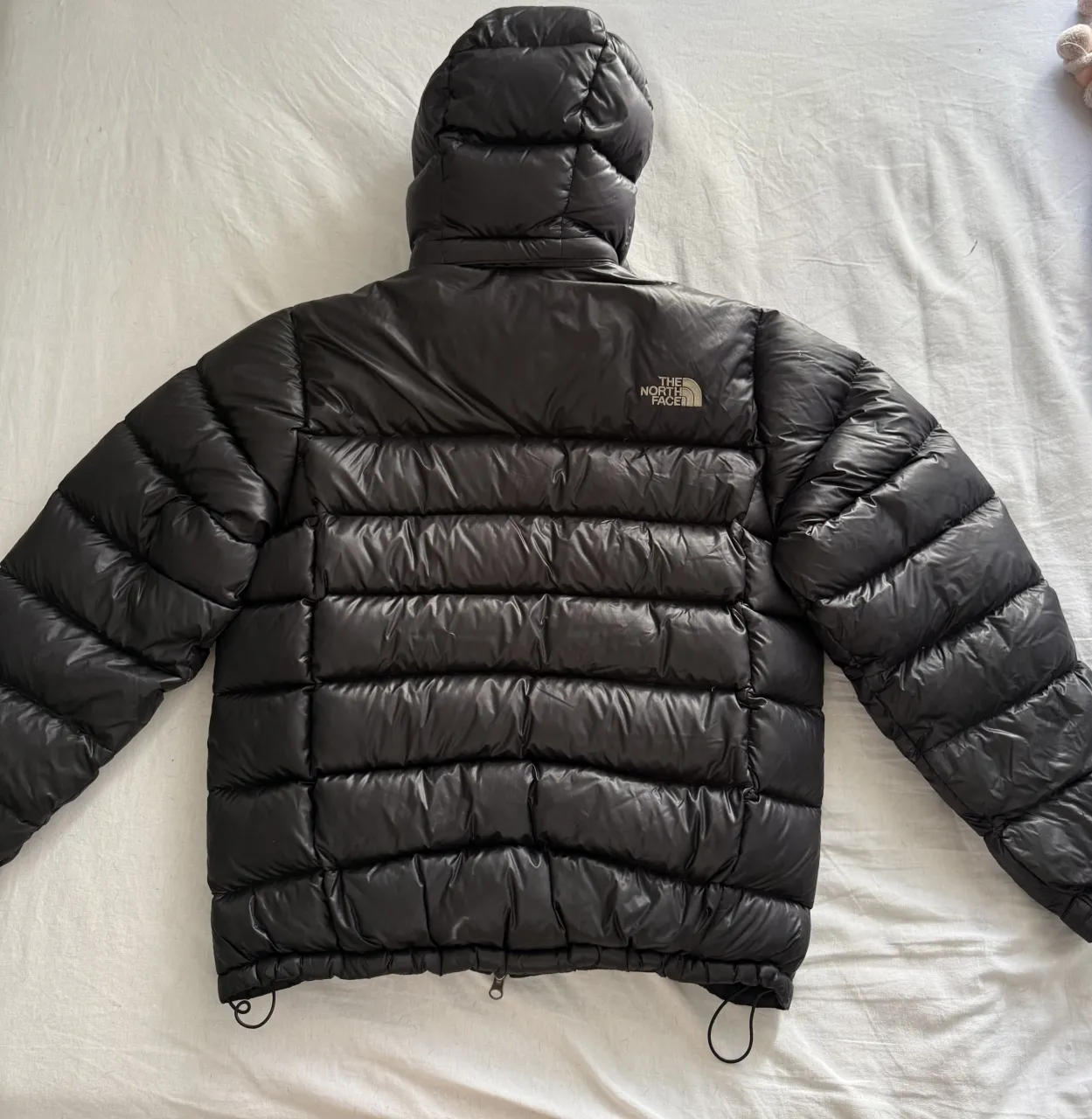 Campera The North Face - Vista 2