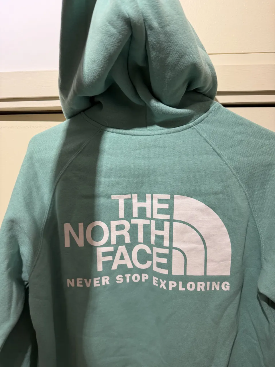 Buzo The North Face - Vista 5