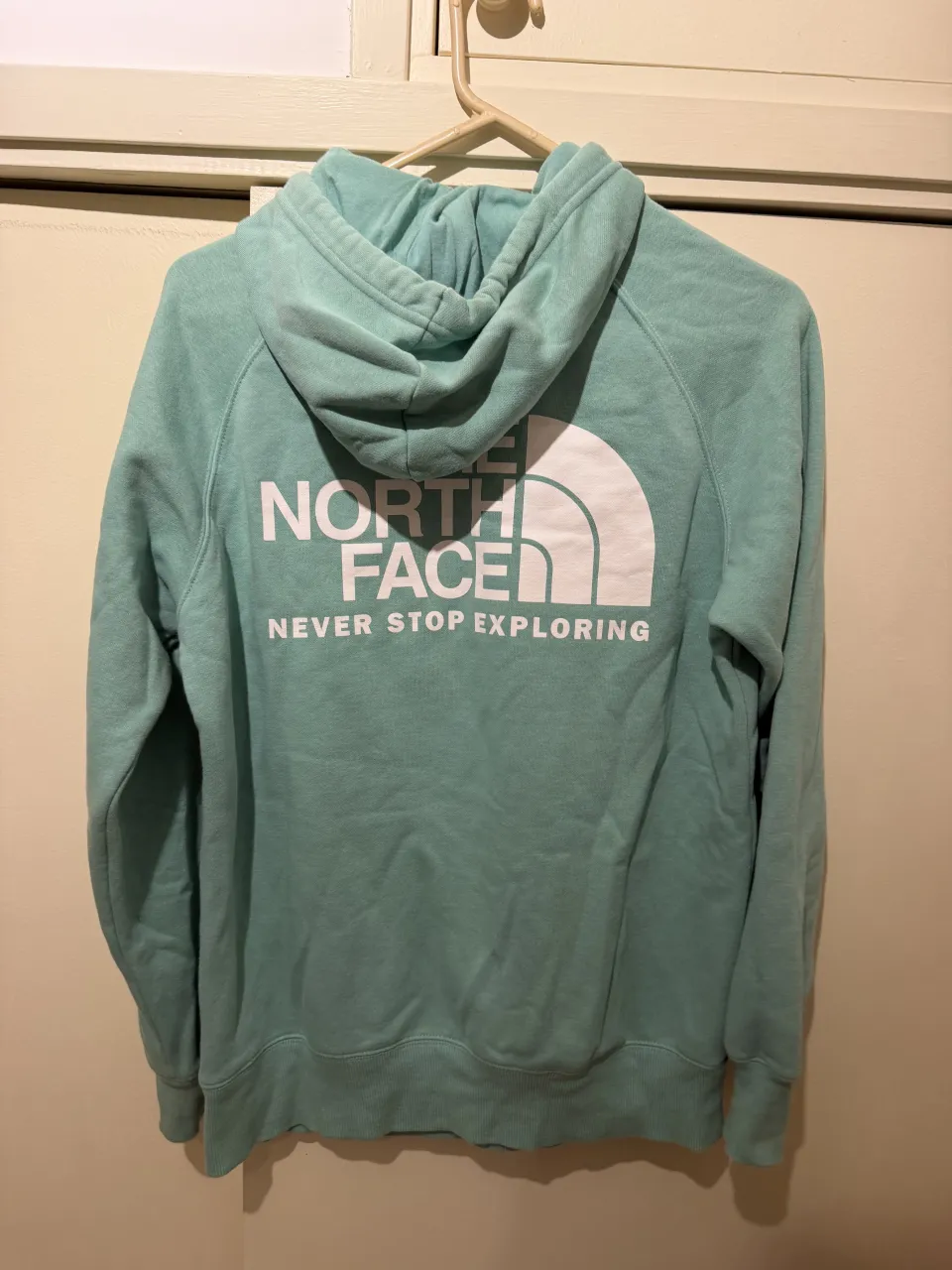 Buzo The North Face - Vista 4