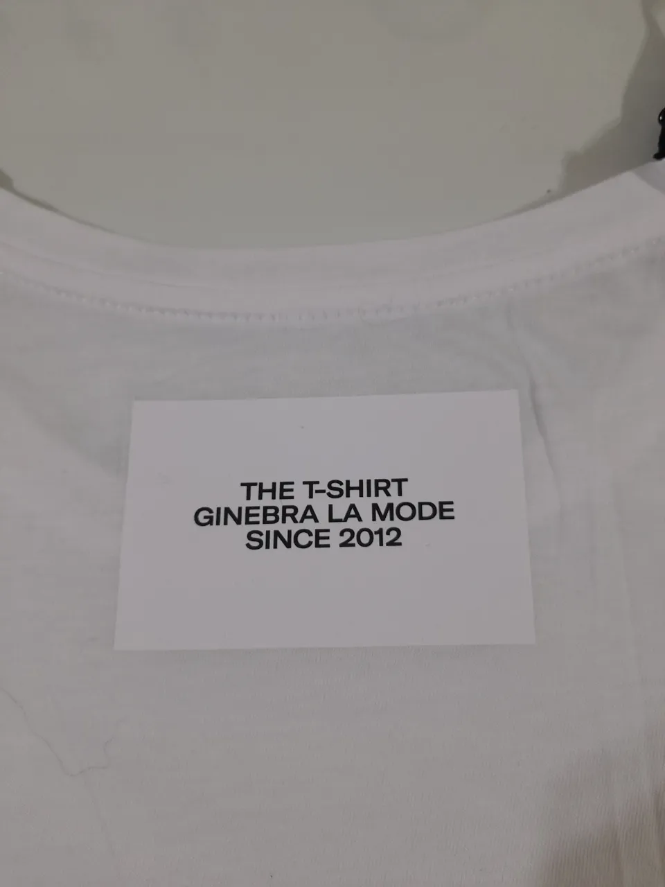 Remera Ginebra - Vista 5