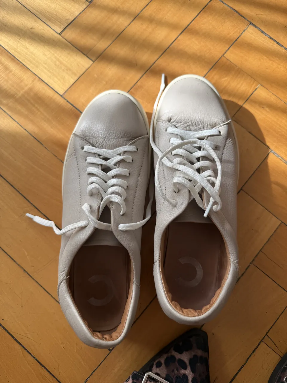 Zapatillas CAPPIO - Vista 2