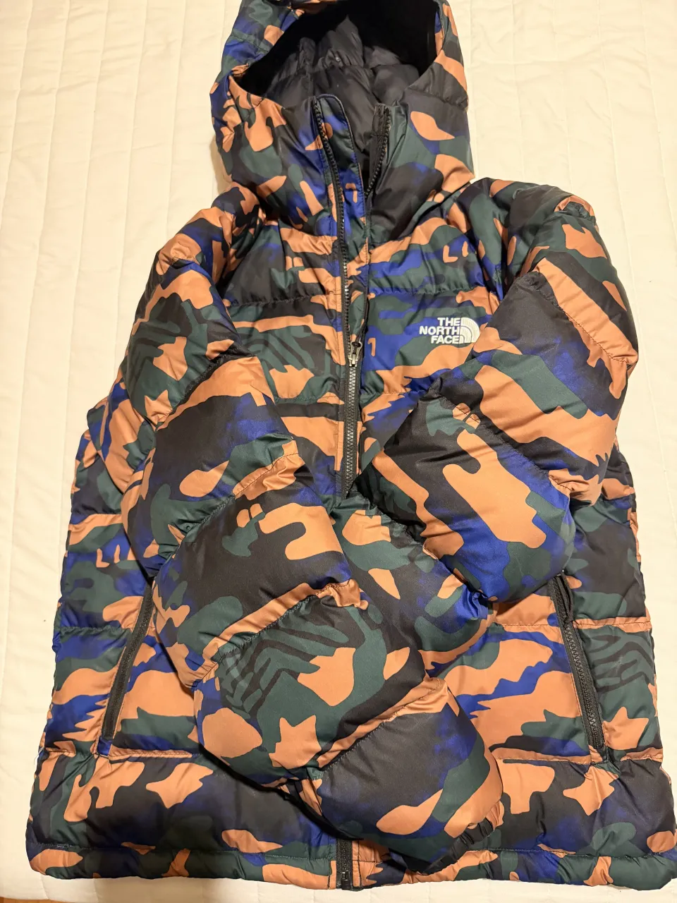 Campera The North Face - Vista 2