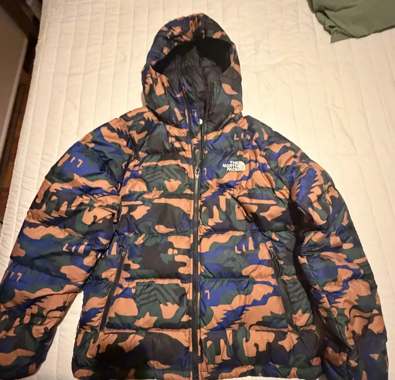 Campera The North Face - Vista 4