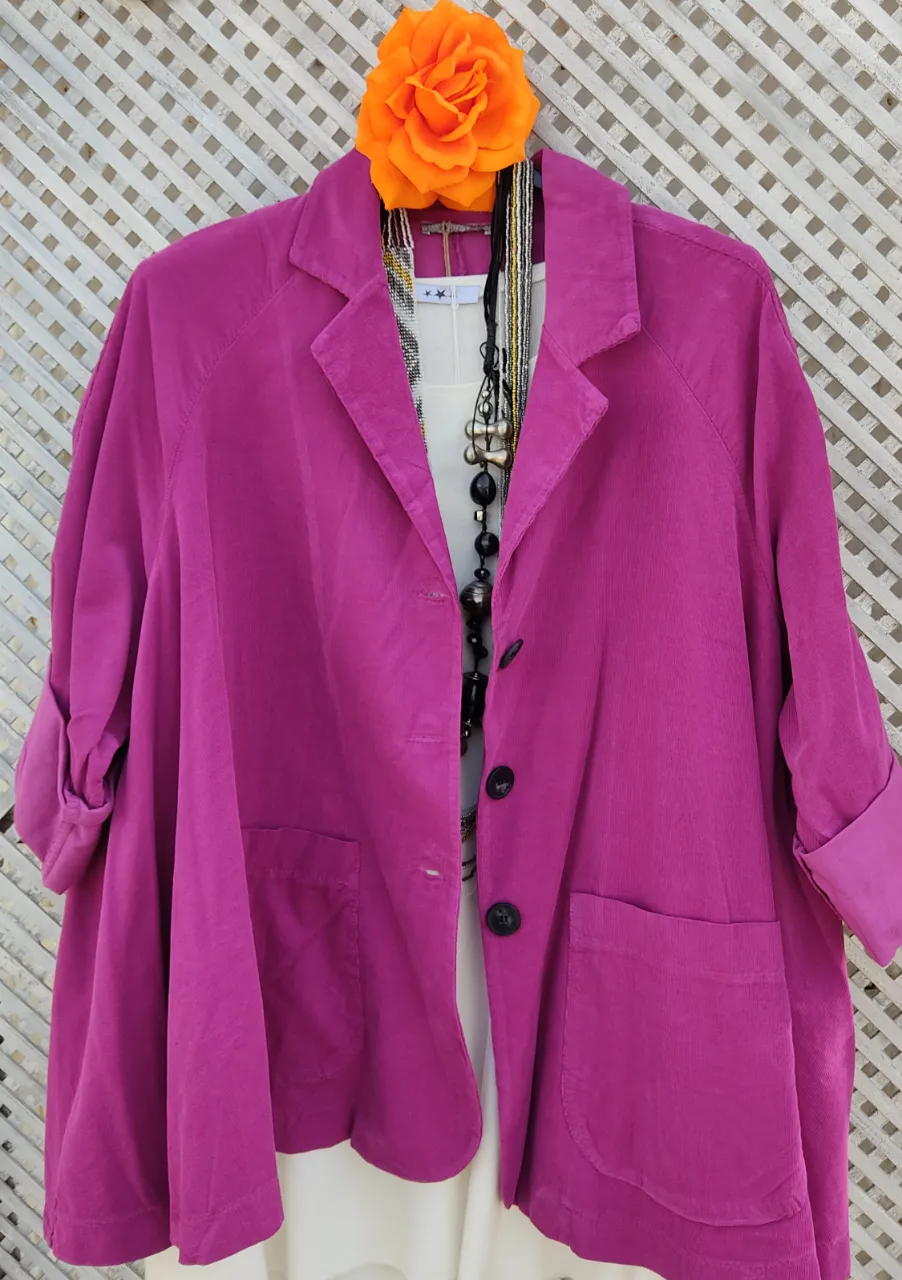 Blazer Importado - Vista 2