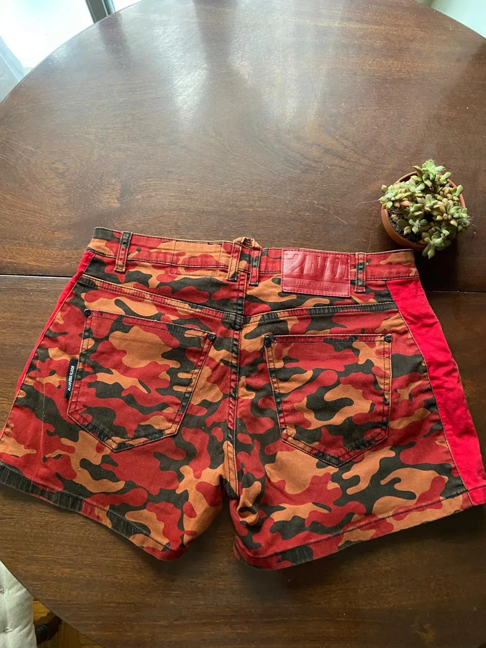 Short Ellus - Vista 2