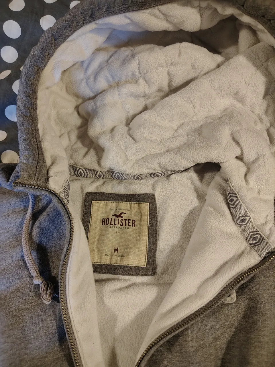 Buzo Hollister - Vista 2