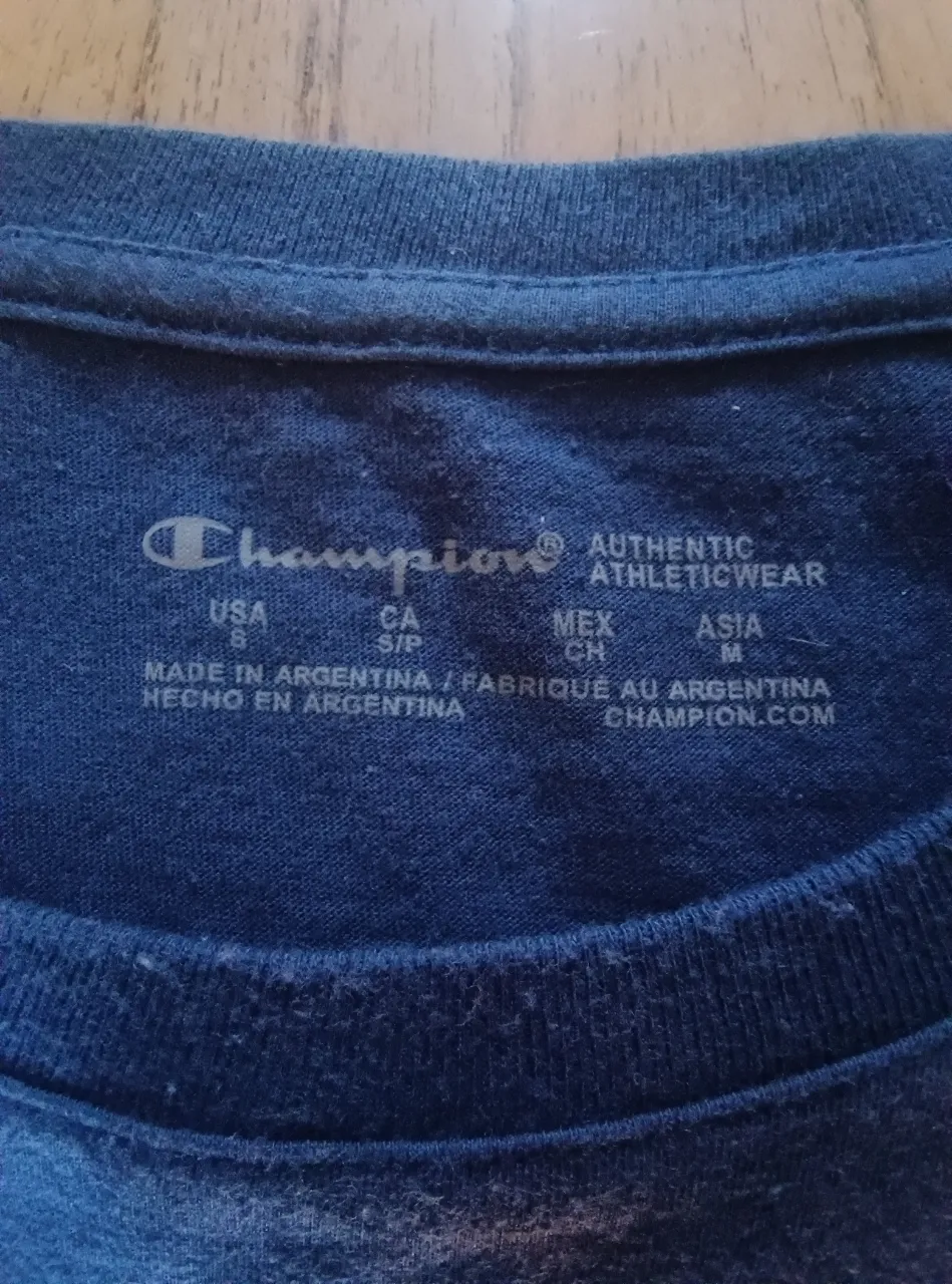 Remera Champion - Vista 8