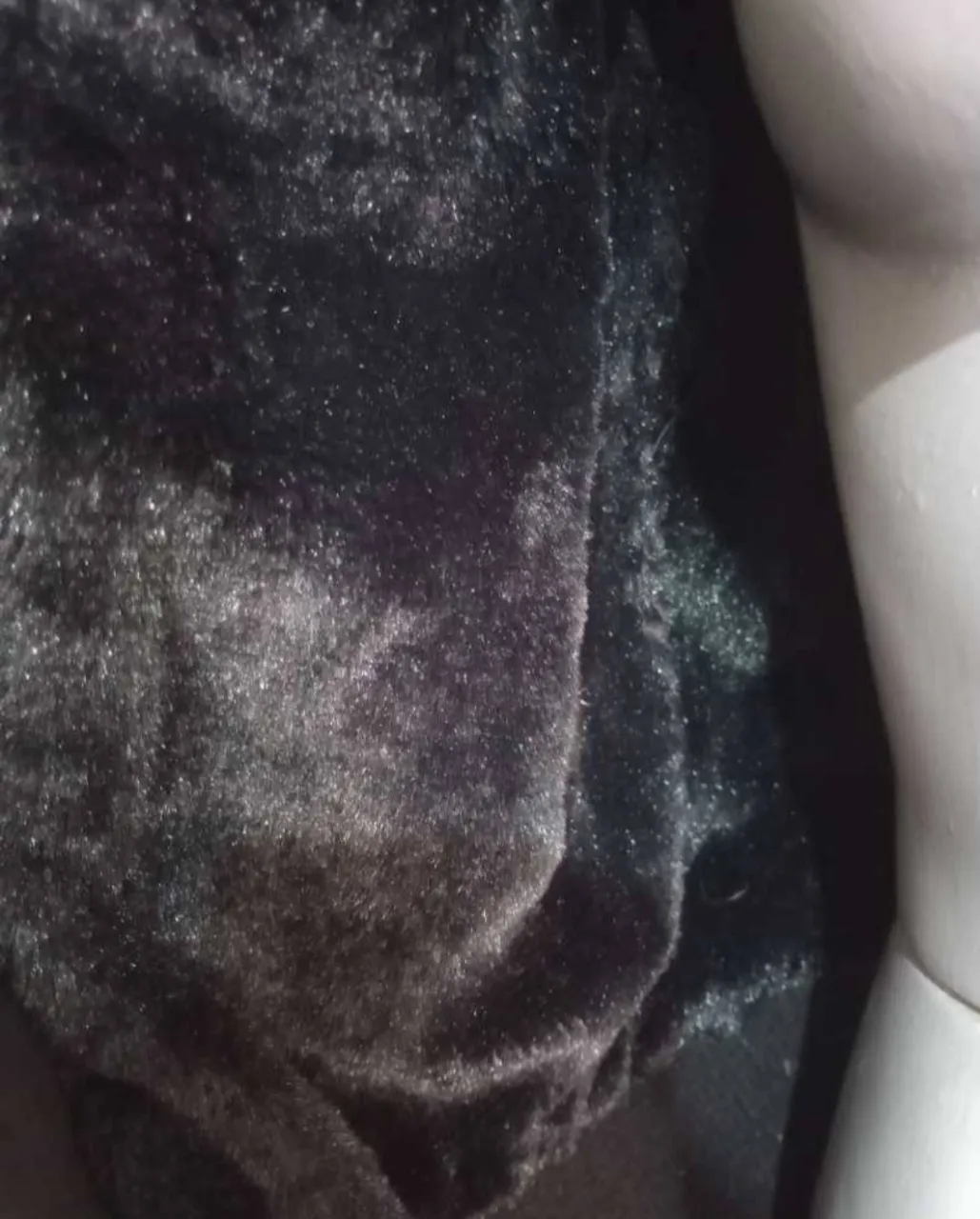 Campera Otra - Vista 5