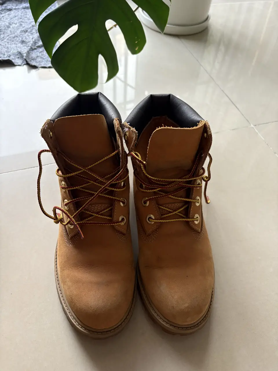Borcegos Timberland color marrón, ideales para un look casual y urbano. Confeccionados en cuero de alta calidad, ofrecen durabilidad y estilo. Perfectos para el día a día.
