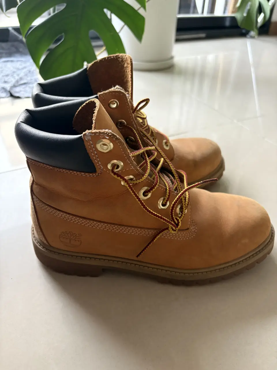 Borcegos Timberland - Vista 2