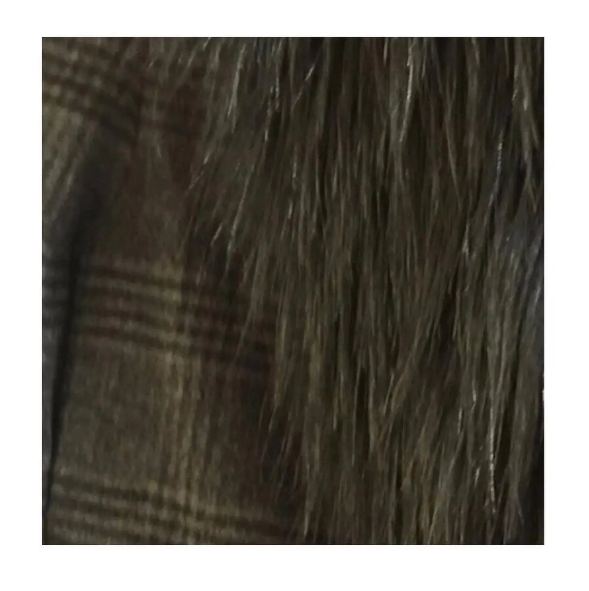 Blazer Delaostia - Vista 3
