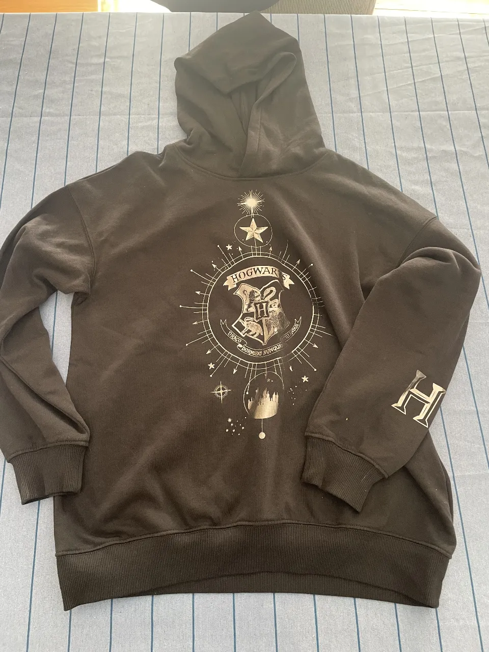 Buzo canguro de color gris oscuro con capucha y estampado del escudo de Hogwarts. En la manga tiene una "H" plateada. Ideal para fanáticos de Harry Potter.
