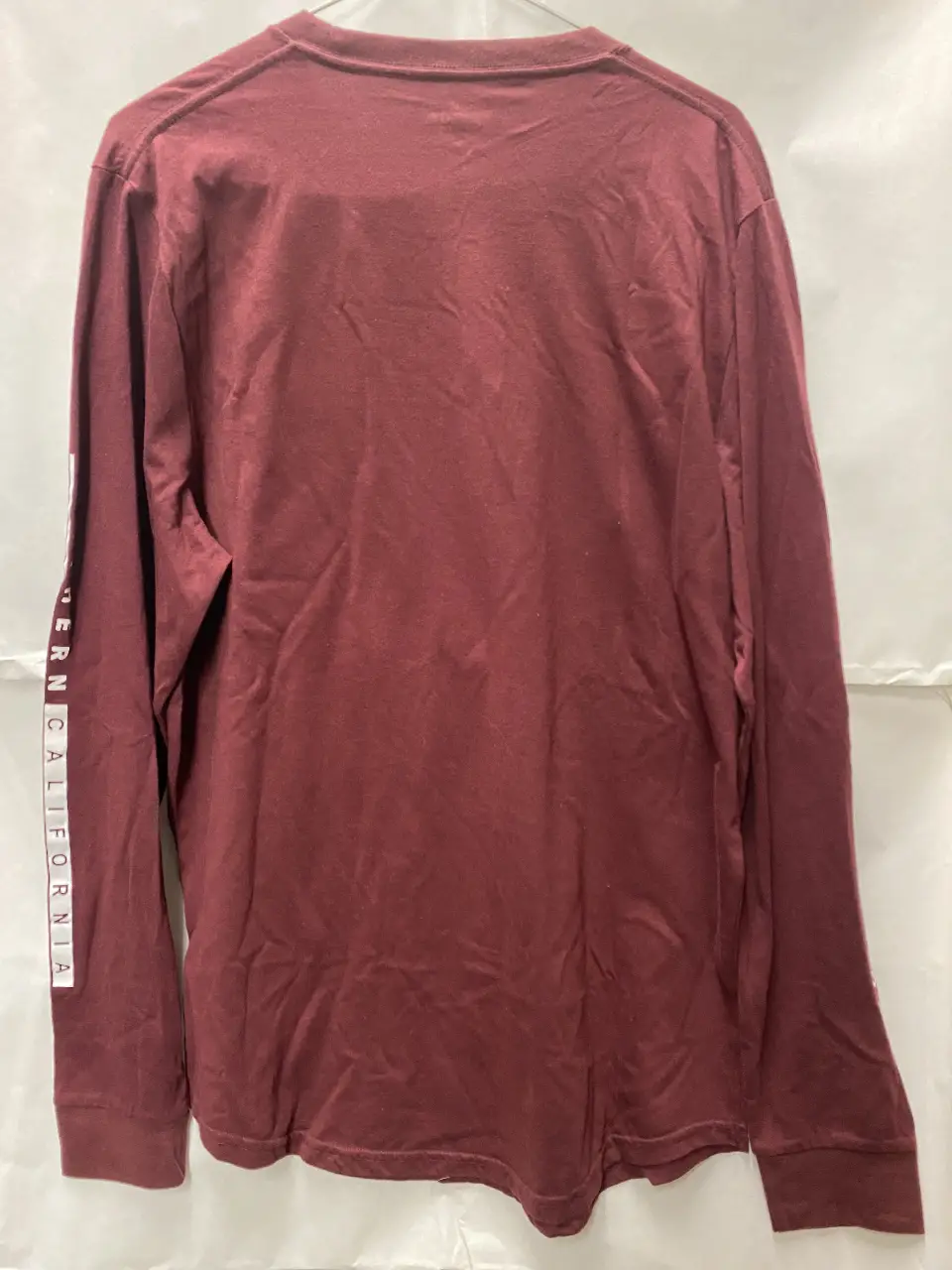 Remera Hollister - Vista 2