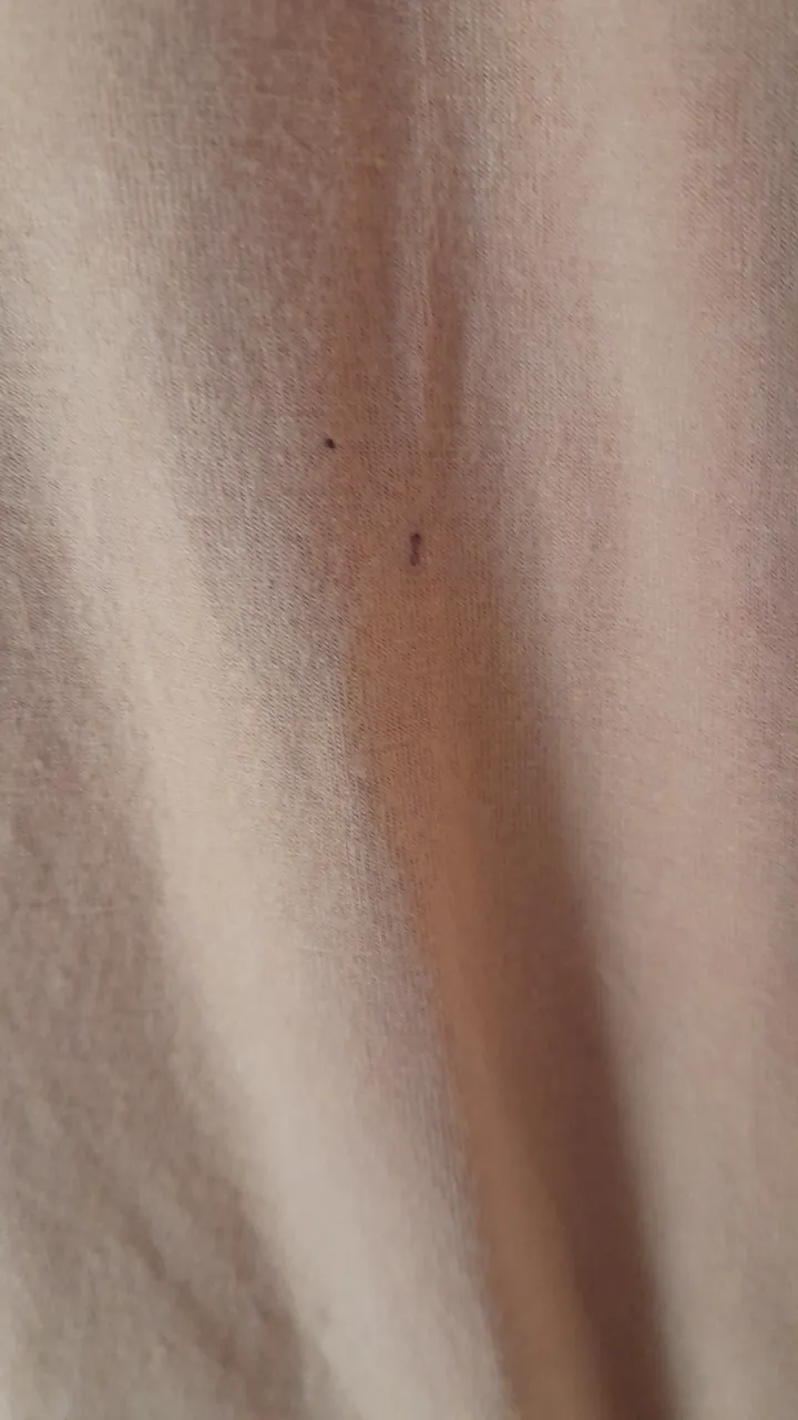 Vestido Velvet - Vista 5