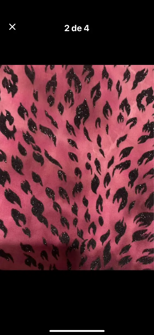 Pollera FFF - Vista 4