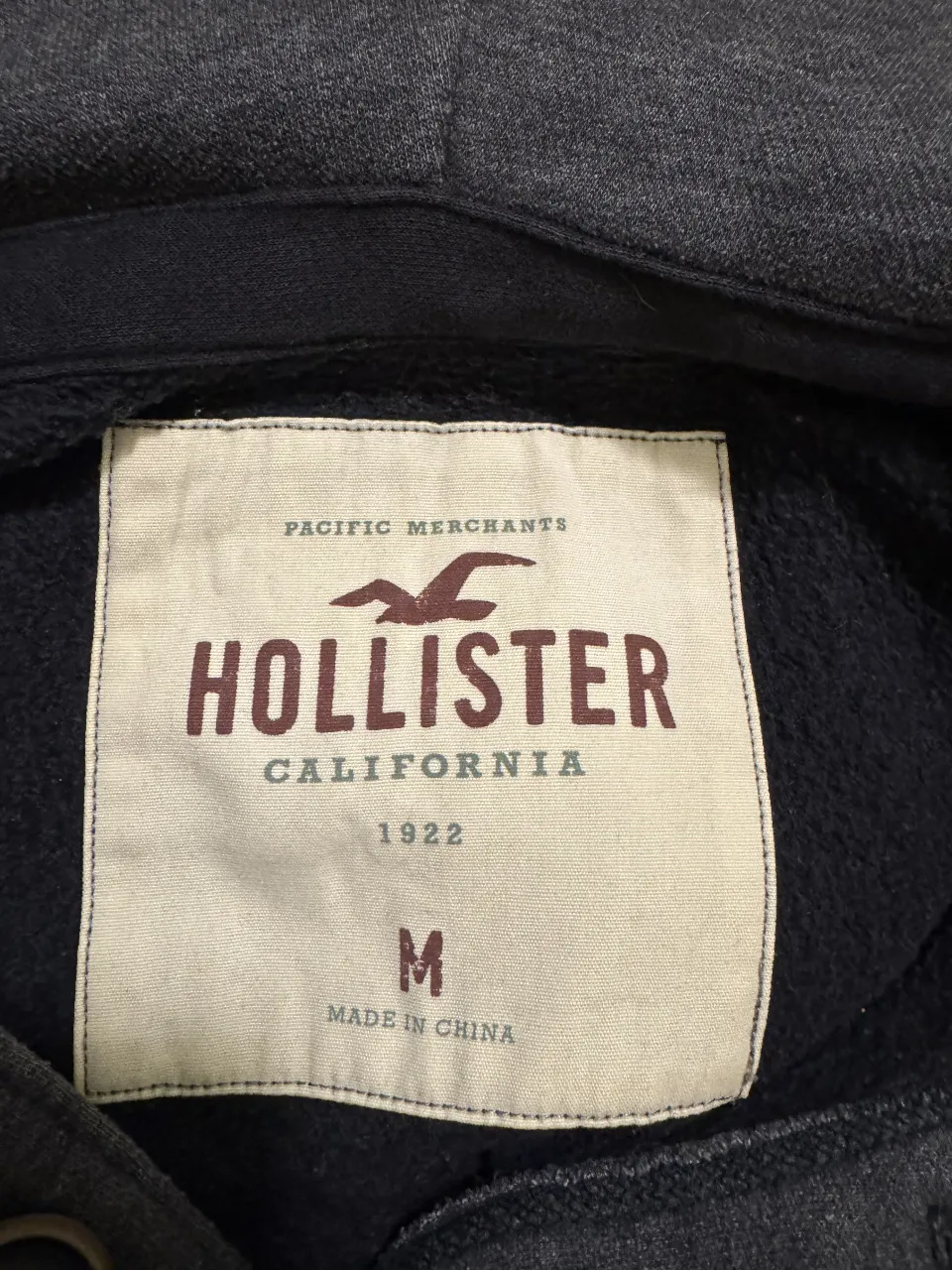 Buzo Hollister - Vista 4